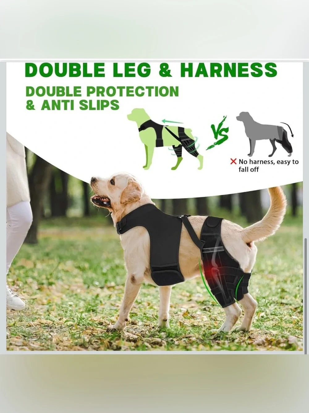 Dog Knee Braces for Back Leg Support,ACL/CCL Brace for Small Dogs,XS 2149-1